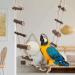 Handmade Bird Toys - 12-Step Wooden Climbing Ladder & Swing for Parrots & Nymphensittiche | Durable & Fun - Buy Online on GoSupps.com