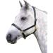 Shires Ragley Lined Leather Headcollar: Havana: Cob Havana Cob - Buy Online on GoSupps.com