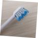 Buy Healvian 24 Pack Replacement Brush Heads for Oral Hygiene - Compatible with Water Toothpicks & Plug-In Brushes - Buy Online on GoSupps.com