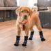 cobee Dog Socks 4 Pcs Non-Slip Pet Paw Protector with Adjustable Straps for Indoor Outdoor Wear Winter Puppy Socks with Grips Traction Control for Small/Medium Dog Cold Weather Socks(M Size Black) - Buy Online on GoSupps.com