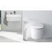 SunnyPoint Free Standing Toilet Paper Holder Stand with Reserve - Brush Nickel Finish - Buy Online on GoSupps.com