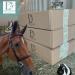Hay by Ol 2nd Cut Timothy Hay 5lb Box for Small Pets - Buy Online on GoSupps.com