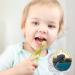 MIIKUU 12-Piece Tooth Fairy Coins Set | Unique Goldtaler Gifts for Children | Tooth Fairy Souvenirs for Lost Milk Teeth - Buy Online on GoSupps.com