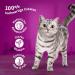 Whiskas Adult 1+ Cat Food in Jelly - 84x85g Portion Bags | Premium Wet Food for Adult Cats | International Shipping Available - Buy Online on GoSupps.com