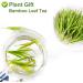 PlantGift Bamboo Leaves 35G/1.23oz Bamboo Leaf Tea - Rich in Organic Silica- for Healthy Hair Skin & Nails Rich in Silica for Healthy - Buy Online on GoSupps.com