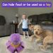 TOTARK Snuffle Toys for Medium Large Dogs Interactive Octopus Toys for Boredom Dog Games Brain Stimulating Toys Squeaky Dog Treat Puzzle Toys for Foraging Instinct Training Slow Feeding - Buy Online on GoSupps.com