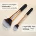 Banidy Makeup Brushes Set with Wooden Handles for Flawless Blending - Ideal for Powder, Foundation, Highlighter, Blush & Concealer - Buy Online on GoSupps.com
