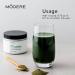 Modere PHYTOGREEN Powder - Daily Greens Wellness Formula Easy to Mix Plant-Based Blend for Everyday Routines Convenient Canister - 135 g - Buy Online on GoSupps.com