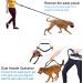 Philorn Hands Free Dog Lead with Phone Pouch - Running/Jogging Leash, Shock Absorbing Bungee, Reflective Stitching, Blue - Buy Online on GoSupps.com