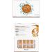 Stayve Dermawhite BB Meso Glow Ampoule N 2 Moyenne 10 pcs x 8 ml (1 emballage) COR E (5 pcs) - Buy Online on GoSupps.com