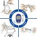 GlucoLeader Enhance Blood Sugar Monitor: 800 Memory Diabetes Testing Kit with 10 Test Strips, Lancets, and Diabetic Socks CE & ISO Certified (UK, mmol/L) - Buy Online on GoSupps.com