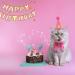 IDOLPET Dog Cat Birthday Hat Dog Cat Girl Boy Birthday Party Hat with Cute Bow Tie for Small Medium Puppies Dogs Cats Dog Wedding Collar Outfit (Pink) - Buy Online on GoSupps.com