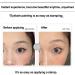 Easy and Convenient Eyelash Stamp LXZJJM Natural and Long-lasting Lashes Reusable and Eco-friendly Includes mascara imprint station Perfect for Quick and Safe Eyeliner Application - Buy Online on GoSupps.com