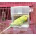 Hypeety Automatic Bird Feeder: No Mess Seed Food Container for Budgerigar, Canary, Cockatiel, Finch, Parakeet - Cage Accessories - Buy Online on GoSupps.com