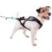 Non-Stop Dogwear Freemotion Harness Size 7 | Black Pulling Harness for Dogs | Head 52cm Neck 44-48cm - International Shipping Available - Buy Online on GoSupps.com