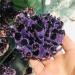 Amethyst Rough Stone Natural Amethyst Specimen Purple Quartz Stone Raw Home Decor (Size : 300-400g) HOMEZHOU