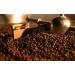 Ethiopian Sidamo Medium Roast Coffee Beans 1kg pack - Buy Online on GoSupps.com