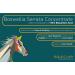 Equicure Boswellia Serrata Concentrate Powder - 150g Refill for Horses/Ponies - Buy Online on GoSupps.com