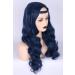 Topcosplay Blue Curly Wig for Girls | Kids Halloween Costume Accessory with Braid - Buy Online on GoSupps.com