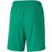 PUMA Boys teamGOAL 23 Knit Shorts - Jr Shorts 140 in Pepper Green | Shop Internationally - Buy Online on GoSupps.com
