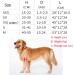 Adjustable Dog Wheelchair Two Wheels Pet Cart Animal Rehabilitation Cart for Handicapped Hind Legs Pet Exercise Wheels Lightweight Easy Assemble X - Small - Buy Online on GoSupps.com