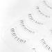 DAODER Natural Bottom Lashes - 5 Pairs Wispy Lower False Eyelashes (6mm) - Clear Band, Daring Style - Buy Online on GoSupps.com