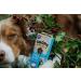 Soopa Grain Free Coconut and Chia Seed Dental Dog Treats 4 Sticks - Natural Teeth Cleaning for Dogs - Buy Online on GoSupps.com