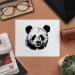 Buy 2 x Panda Microfiber Lens/Eyeglass Cleaning Cloths | Premium Quality Scratch-Free Durable | International Shipping Available - Buy Online on GoSupps.com