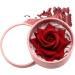Compact Floral Blush 5g Sculpted Rose Powder Smooth Buildable Pigment | Long-Lasting Cheek Color Makeup for Women Girls Celebration Party Photo Ready Glow Pink Blush - Buy Online on GoSupps.com