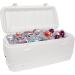 High Strength Cooler Hinge and Latch Kit - Replacement Parts for Ice Chests - Repair & Replace Cooler Components with Ease - Buy Online on GoSupps.com