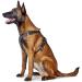 HUNTER Aalborg Leather Dog Harness - Size SM/2 - Black | Premium International Shipping - Buy Online on GoSupps.com