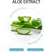 Aloe Vera Gel Face Cream Aloe Vera Moisturiser Natural Aloe Cream for Dry Natural Aloe Vera Gel Pure Aloe Vera Gel Natural Aloe Cream for Dry Organic Aloe Vera Hydrating Face Moisturiser 140g - Buy Online on GoSupps.com