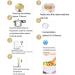 3g DIY Natto Powder Bacillus Subtilis Nattokinase Agent Edible Food Supplies for Making Sticky Fermented Soy Beans Gastrointestinal Regulation Dried Yeast for Bread - Buy Online on GoSupps.com