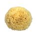 Natural sponge bath sponge Kosmetex from the Mediterranean in various sizes 16 cm