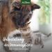 AniForte MultiVETAL Multivitamin for Dogs Cats 250 tablets - Multi-vitamins and natural nutrients for an optimal intake support of natural defenses - Buy Online on GoSupps.com