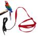 Cyrank bird dishes adjustable pet-papage-bird-fluid leash outdoor activities Training for parade nymphensittish Alexandriner scarlet red keck (XL)