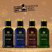 FOGG Scent - Intensio Green - Buy Online on GoSupps.com