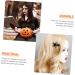 minkissy 20 Pairs Halloween Hair Clips Goth Accessories Hair Barrettes for Women Halloween Cospaly Hair Clip Halloween Hair Accessories Halloween Hair Ornament Child Devil Iron Bat Wing - Buy Online on GoSupps.com