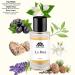 Monac Fragrances Under 30 Dollars - Eau de Parfum - 50 Ml 95%-99.9% similar Long Lasting 8-15 hours Premium Quality Ingredients (La Brea Inspired by Libre (W)) - Buy Online on GoSupps.com