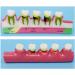 Dytah Dental Model - Adult Teeth Lessons for Periodontitis & Dental Disease Classification | Ideal for Teaching & Study - Buy Online on GoSupps.com
