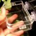 NN 1 Pcs Reptile Food Dish Reptile Anti-escape Bowls Transparent Suction Cups Reptile Feeding Pools Amphibians Feeder Bowls for Reptile Geckos Snakes - Buy Online on GoSupps.com