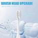 6 Replacement Brush Heads for Olybo Electric Toothbrush - Compatible with All Electric Toothbrushes - Buy Online on GoSupps.com