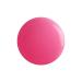99nails Color Gel Matt - Pink (5 ml) | Premium Nail Gel for Long-Lasting Manicures | Buy Online Worldwide - Buy Online on GoSupps.com