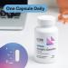 Buy PureFormulas Acetyl L-Carnitine Supplement - 500mg Cognitive & Memory Support - Dairy Free Non-GMO - 60 Capsules - Buy Online on GoSupps.com