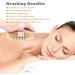 Shower Brush Set for Soft Glowing Skin - Body & Back Scrubbers for Wet/Dry Brushing - Natural Bristles - Improve Blood Circulation - Includes Long Handle & Round Bath Brush - Buy Online on GoSupps.com