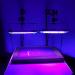 Dorhui 2 Pack UV Light for Screen Printing Total 50W LED UV Screen Printing Exposure Light and Light Stand for Cyanotypes and Photo Emulsion Kit - Buy Online on GoSupps.com