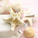 OBTANIM Starfish Hair Clip Set - Resin Beach Sea Star Hair Pins for Women and Girls - Mermaid Hair Accessories - 2 Count - Buy Online on GoSupps.com