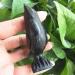 Natural Crystal Rough 1PC Crystals Animal Natural Obsidian Crystal Bird Corvus Black Obsidian Quartz Crow Gift Stones - Buy Online on GoSupps.com