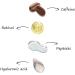 Eye Cream Anti Aging Eye Cream Eye Care Serum Eye Bags Serum For Wrinkles Fine Lines And Firmness Dark Circles And Bags Caffeine Eye Cream For Puffiness (2) - Buy Online on GoSupps.com