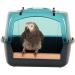 Savic Lixit Splash Giant Bird Bath XL - 71-0151-001 - Buy Online on GoSupps.com